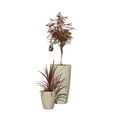 thumbnail image 1 of Strata Amesbury Stone Effect Planter, 1 of 1