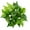 #6, variant on Ludlz Clear Texture Artificial Leaf Fadeless Plastic Floral Arrangement Simulation Plant Home Decor