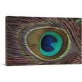 thumbnail image 1 of ARTCANVAS Peacock Feather Home decor Canvas Art Print - Size: 18" x 12" (1.50" Deep), 1 of 9