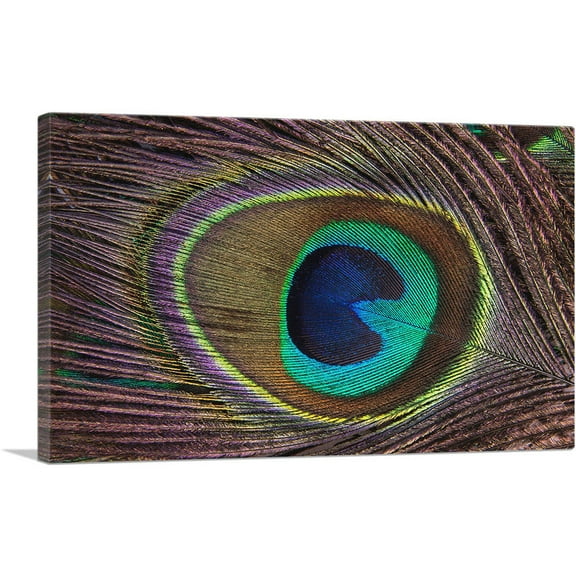 ARTCANVAS Peacock Feather Home decor Canvas Art Print - Size: 26" x 18" (0.75" Deep)
