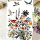 thumbnail image 4 of Juego de 4 pegatinas de flores para muebles y manualidades, 30 x 15 cm, diseño de pájaros, para muebles de jardín, con temática de plantas, incluye 1 raspador., 4 of 9