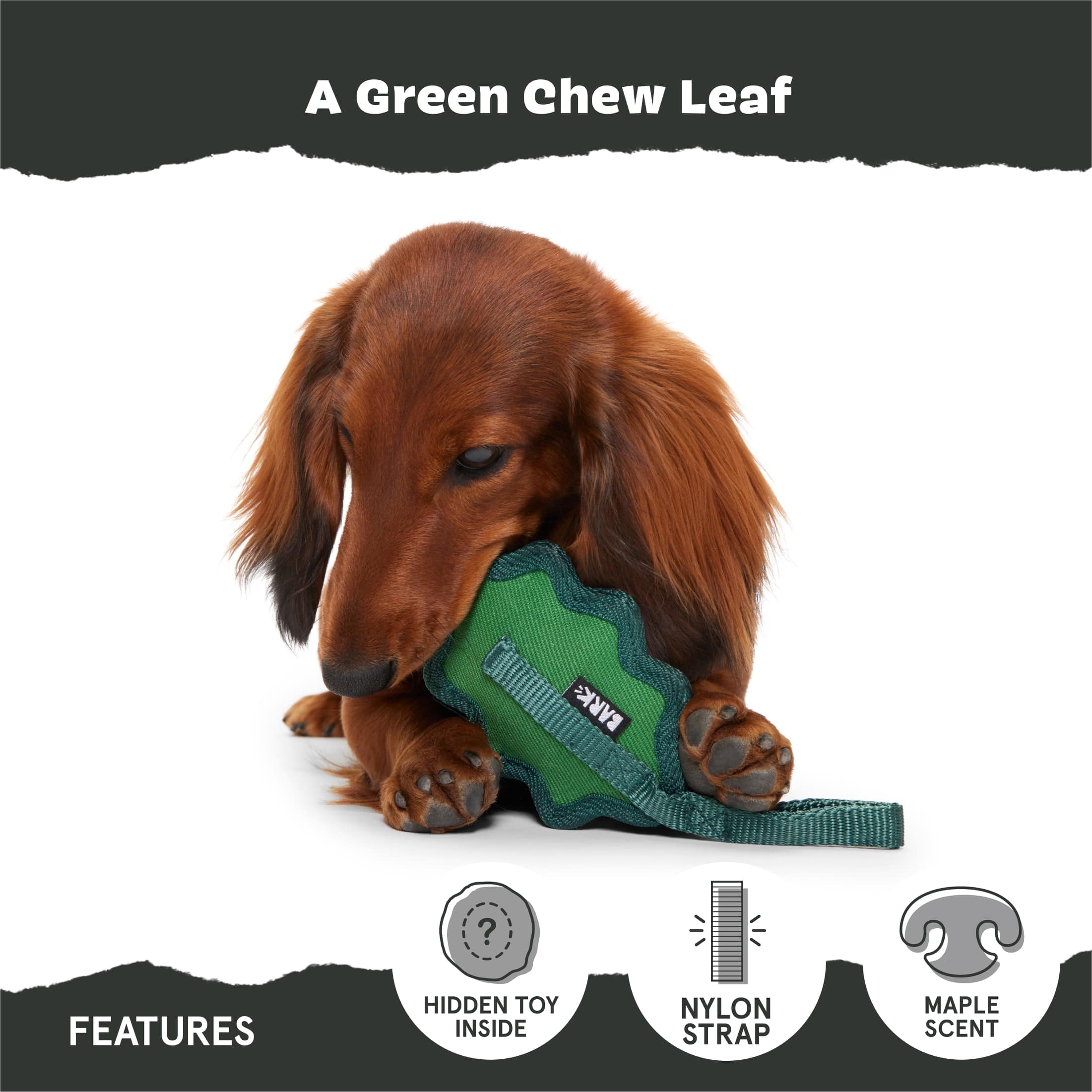 BARK Super Chewer A Green Chew Leaf, Green Leaf Rubber Dog Toy S