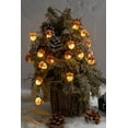 3D Acorn String Lights Indoor, 10 feet 30 LEDs 8 Modes with Remote Fall