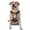 With Accessories, variant on Naloa Red And White Fire Bird Pet Harness Vest with Traction Rope, Adjustable No-Choke Dog Vest for Outdoor, Walking - Medium