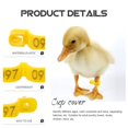 thumbnail image 3 of Baweave 100 Pcs Chicken for Coop Disposable Leg Ring Poultry Tags, 3 of 8