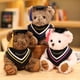 thumbnail image 4 of Muñeco de peluche del Dr. Bear para niños y niñas, Kawaii muñeco de peluche suave de 20cm, regalos de graduación, navidad, 4 of 5