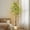 White, variant on Bingirl 5 FT Artificial Lemon Tree - Realistic Faux Indoor Tree with Lifelike Leaves, Fruit, and Lights for Living Room or Office Decor