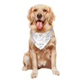 thumbnail image 5 of Naloa Rabbit Eating Dog Bandanas 1PC Washable Triangle Dog Scarfs Premium Durable Fabric, for Small Medium Large Dogs and Cats, 5 of 6