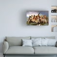 thumbnail image 3 of Canvas Wall Art - Barry Kite 'Dangerous Women Crossing the Delaware' Wall Art for Living Room, Bedroom, or Office Décor by Trademark Fine Art - 19 x 12 Inches, 3 of 4