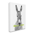 thumbnail image 3 of Stupell Industries Donkey Toothbrush Funny Animal Animals & Insects Painting Gallery Wrapped Canvas Print Wall Art, 3 of 5