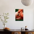 thumbnail image 4 of A Pink Flamingo Grooming Herself at Sea World, Orlando, Florida, Animals Unframed Photographic Print Wall Art by Bo Vilmos Widerberg Sold by Art.Com, 4 of 4