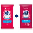 thumbnail image 3 of Wet Ones Antibacterial Hand Wipes, Fresh Scent, Travel Pack, Hypoallergenic - 20 Ct (2 pack), 3 of 6
