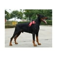 thumbnail image 3 of MISSMILE Dog Harness,Convenient and Functional Puppy Harness,Quick Adjustments Harness Small Size Dog, 3 of 4
