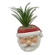 thumbnail image 5 of Plantas artificiales en macetas BLESIY maceta de resina 7x7x11cm, 5 of 8