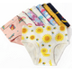 thumbnail image 4 of Calzoncillos de algodón transpirables para niñas, ropa interior variada, 6-8 piezas Xtellar multicolor, 4 of 4