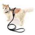 thumbnail image 4 of 2 Ensembles de Laisses pour Animaux Harnais Ajustables Sangle en Nylon Robuste Laisses pour Chat avec Harnais pour la Marche, 4 of 10