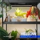 thumbnail image 2 of Grow Lights Barrina, luz solar de espectro completo, 1 pie, 20 W, paquete de 4 unidades, 2 of 9