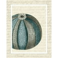 thumbnail image 2 of Fab Funky 12x14 Black Ornate Wood Framed with Double Matting Museum Art Print Titled - Blue Corals On VIntage Script f, 2 of 4