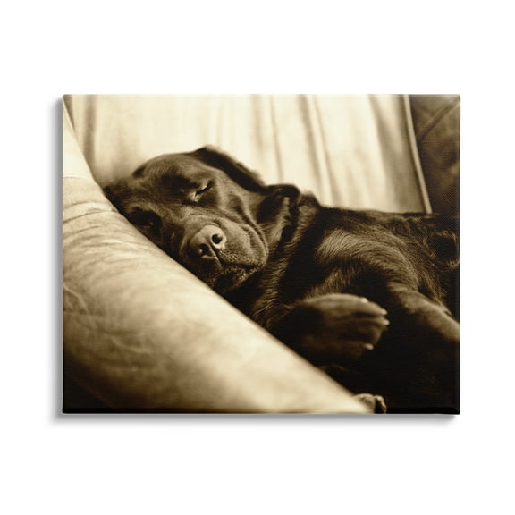 Stupell Industries Cuddling Labrador Dog Sleeping Cozy Sepia Photography Photograph Gallery Wrapped Canvas Print Wall Art, Design by James Dobson