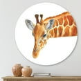 thumbnail image 2 of Designart 'Close Up Portrait of A Giraffe IX' Farmhouse Circle Metal Wall Art 23x23 - Disc of 23, 2 of 5