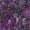 Purple, variant on Lkhaha Women's Paisley Print V Neck Tank Tops Vintage Casual Sleeveless Blouse Purple L