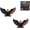 2pcs, variant on 2Pcs 3D Metal American Flag Eagle Emblem for Car SUV Truck 1pc