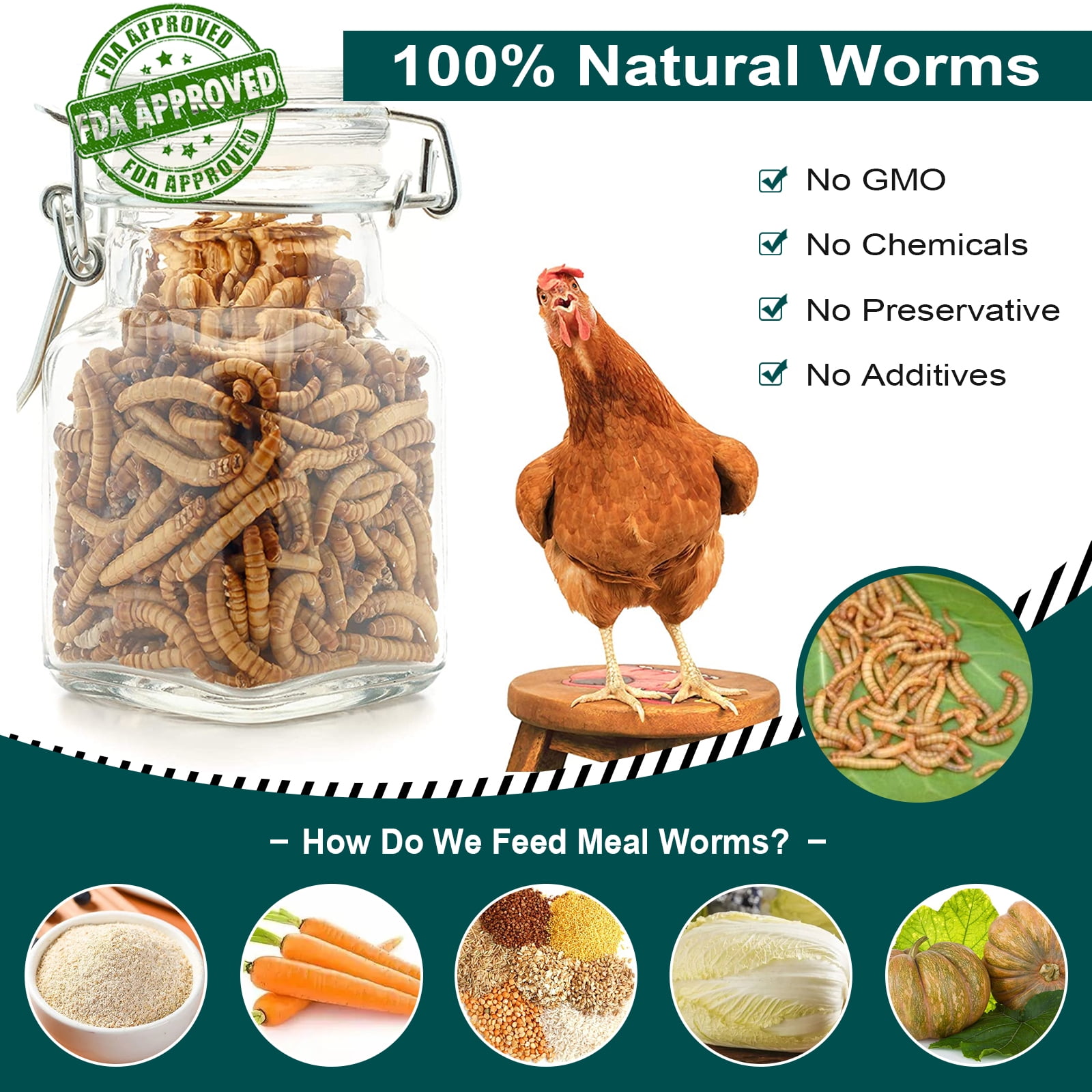 Buy Euchirus 5LB NonGMO Dried Mealworms, High Protein Bulk Mealworms