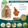 thumbnail image 5 of Euchirus 22LB Non-GMO Dried Mealworms, High Protein Bulk Mealworms for Chickens, Birds, Hamsters, Fish, Turtles, 5 of 8
