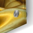 thumbnail image 3 of Epic Art 'A Star' by Francois Chartier, Acrylic Glass Wall Art, 36"x24", 3 of 8