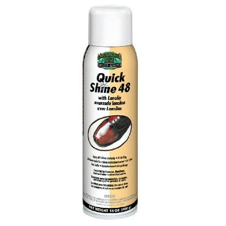 Moneysworth & Best M&B Shoe Boot Quick Shine 48 Spray With Lanolin 14 (Best Shoe Polish For Leather Shoes)