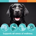 thumbnail image 2 of Dog Vitamins with Probiotics & Enzymes : Array Soft Chews : Daily All-in-One Vitamin Treats for Dogs, 2 of 6