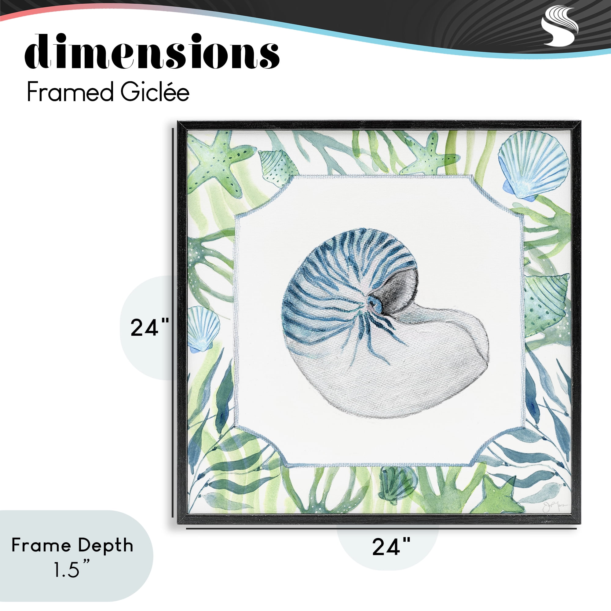 Stupell Industries Seaweed & Seashells Aquatic Black Framed Giclee Art, design by Janet Tava