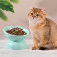 thumbnail image 1 of Kunmingshisd Cuenco elevado de cerámica para gatos - Cuenco elevado para gatos inclinado contra los vómitos - Cuenco para gatos grandes - Cuencos de porcelana para gatos - Cuenco para comida para gato, 1 of 5
