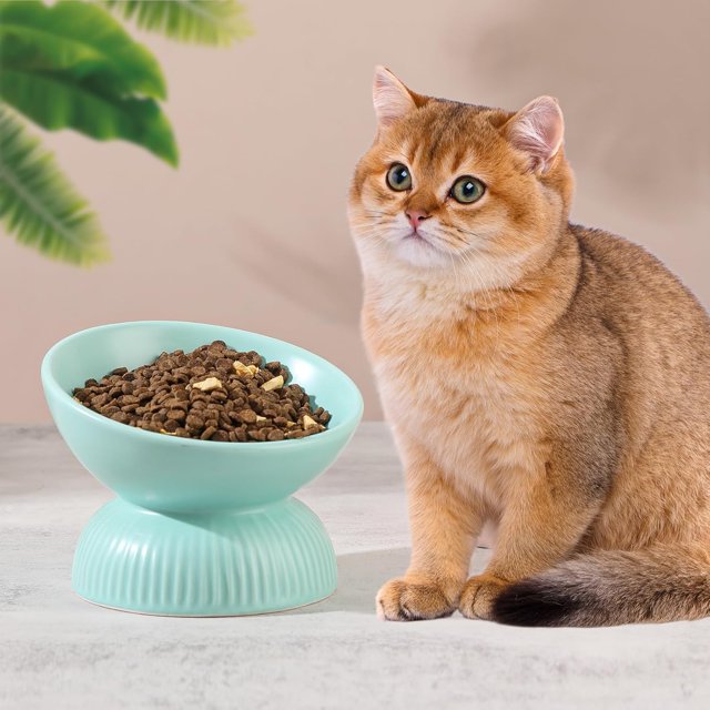 Kunmingshisd Cuenco elevado de cerámica para gatos - Cuenco elevado para gatos inclinado contra los vómitos - Cuenco para gatos grandes - Cuencos de porcelana para gatos - Cuenco para comida para gato