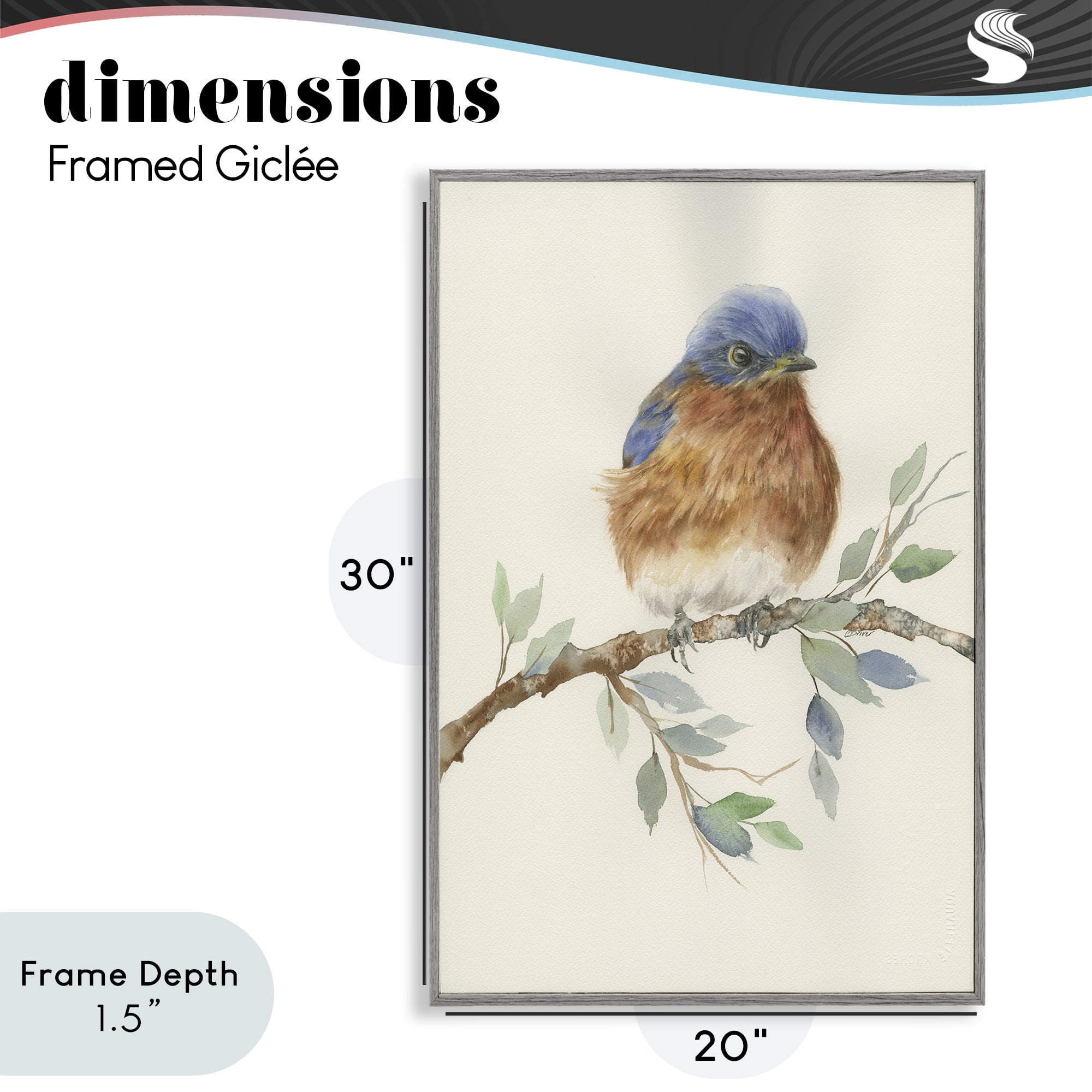 Stupell Industries Songbird Perched on Branch Gray Framed Giclee Art, design by Cady Driver