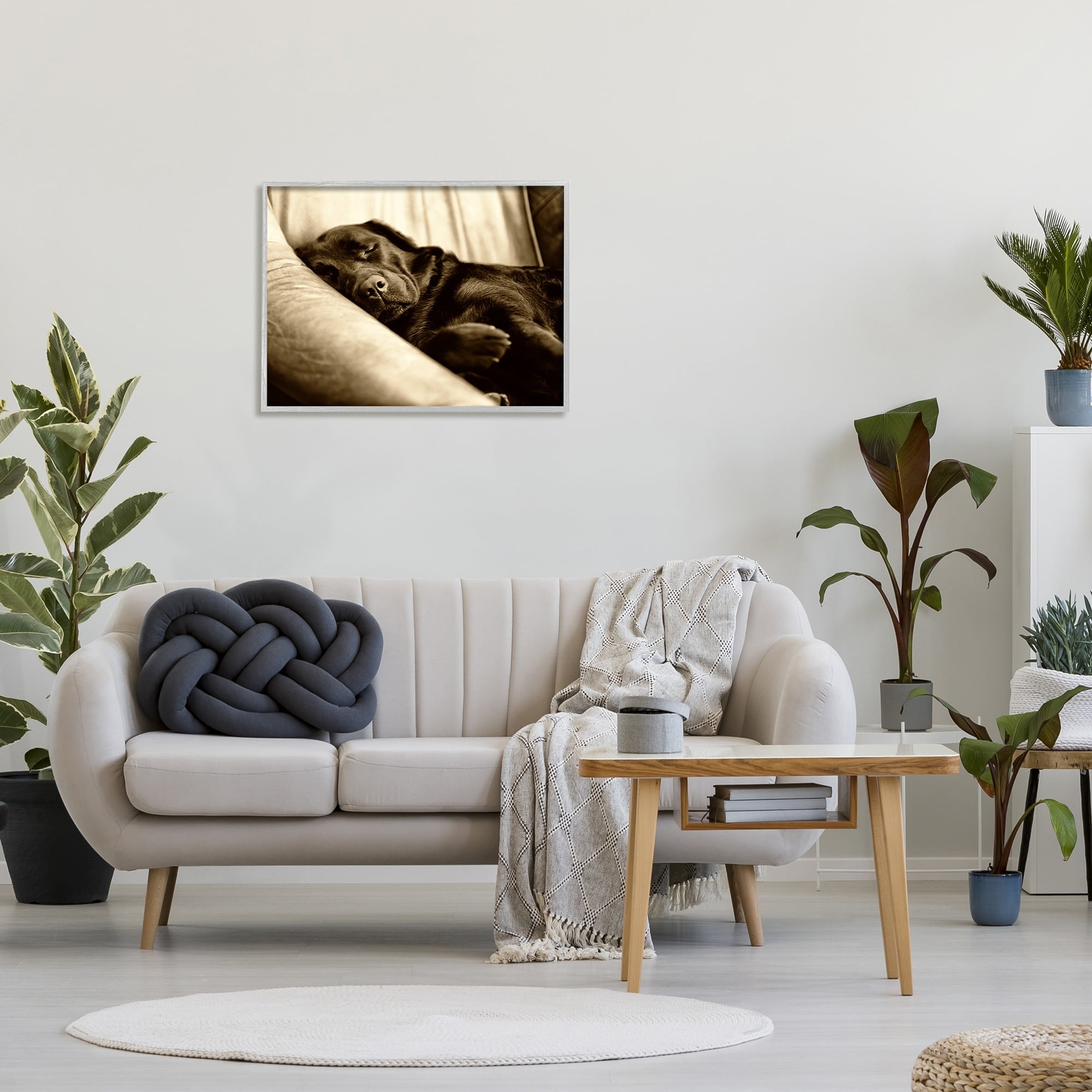 Stupell Industries Cuddling Labrador Dog Sleeping Cozy Sepia Photography Photograph Gray Framed Art Print Wall Art, Design by James Dobson