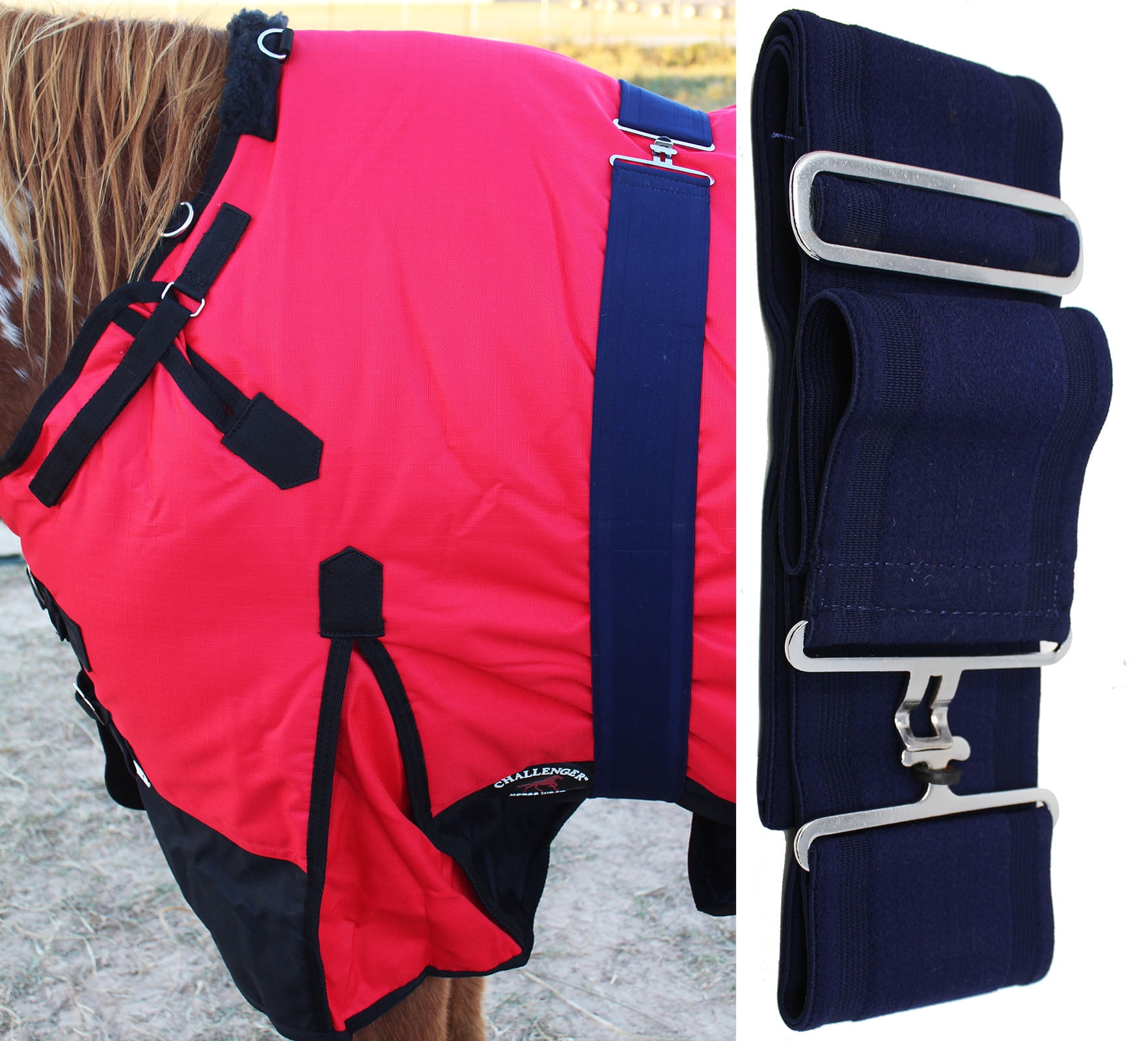 Surcingle for Horse Blanket Elastic And Adjustable Choice of Colours 