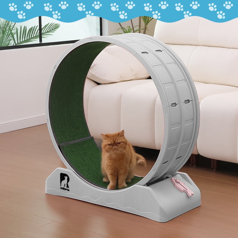 Cat Exerciser Wheel, 31.5 Inch Cat Toy Running Wheel Treadmill with Detachable Carpet for Indoor Cats, Plastic Wheel