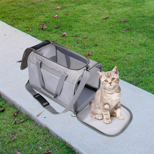 Caja Transportadora Casera Transportadora De Carton Para Gatos 3,5