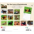 thumbnail image 2 of For the Love of Dachshunds | 2027 14x24" (Hanging) Wall Calendar | Plastic-Free, 2 of 9