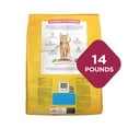 thumbnail image 6 of Purina Kitten Chow Healthy Development with Real Salmon Cat Food, 14 lb Bag, 6 of 10