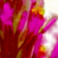 thumbnail image 2 of Tenoever, William 12x12 White Modern Wood Framed Museum Art Print Titled - Owl Clover in Bloom 5, 2 of 4