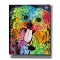 thumbnail image 1 of Epic Graffiti 'Shih Tzu' by Dean Russo, Giclee Canvas Wall Art, 20"x24", 1 of 8