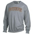 thumbnail image 2 of Men's ComfortWash Gray Wisconsin-Stevens Point Pointers Garment Dyed Fleece Crewneck Pullover Sweatshirt, 2 of 3
