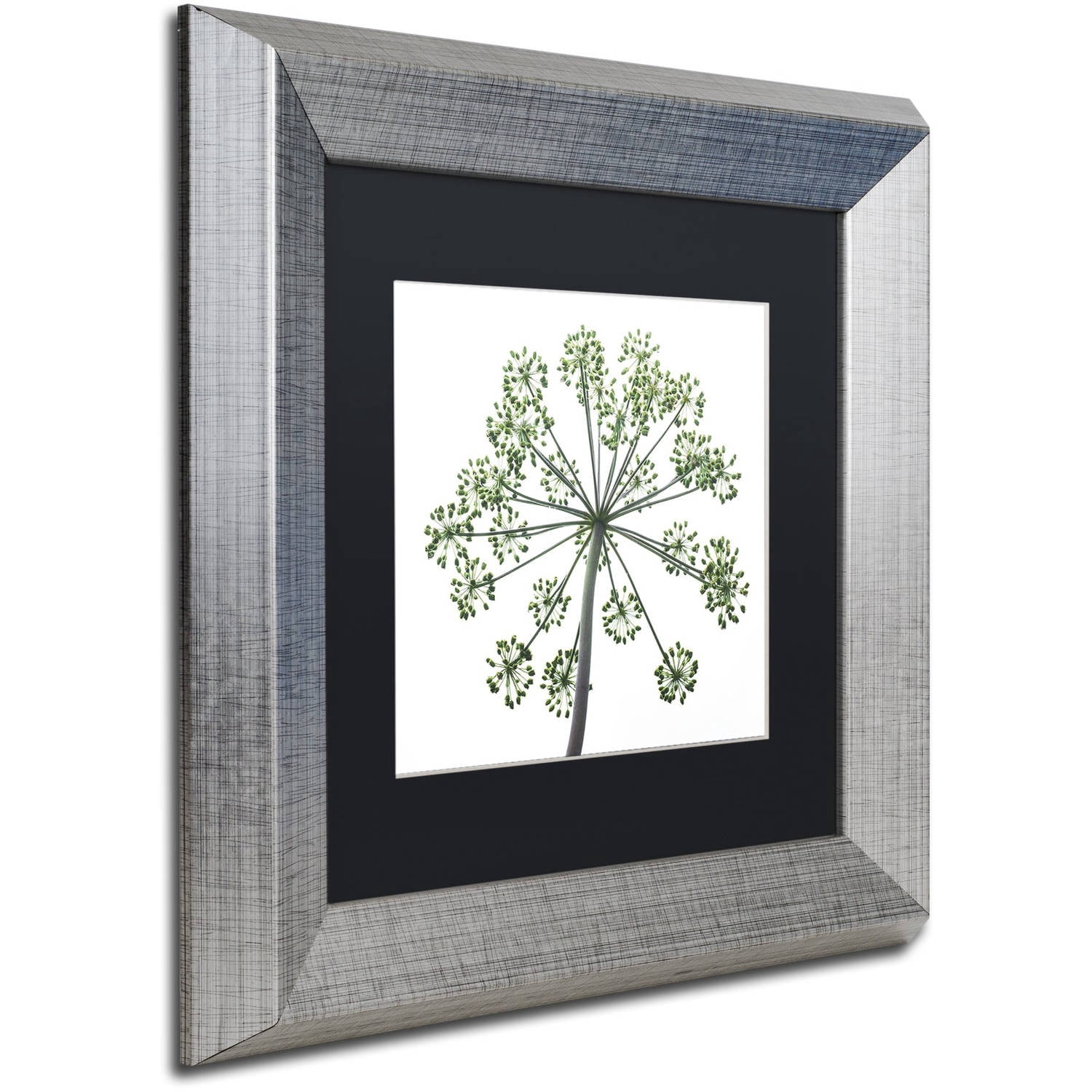 Trademark Fine Art "Nature's Amazing Wonder" Canvas Art by Kurt Shaffer, Black Matte, Silver Frame