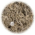 thumbnail image 3 of Premium Natural Spanish Moss | Natural Preserved - Great Ground Cover - Filler for Potted Plants - by GARDENERA - 1 Quart Bag, 3 of 6