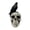 B, variant on A Halloween Crow Skull Resin Statue Gothic Home Desk Decor
