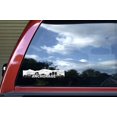 thumbnail image 5 of 10in x 2.25in Anchorage Skyline Sticker Vinyl Alaska Travel Decal Stickers, 5 of 7