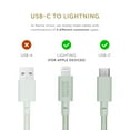 thumbnail image 3 of Native Union Belt Cable - 10ft Ultra-Strong USB Type C Cable (Sage), 3 of 7