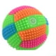 Boule de Volley-Ball Gonflable Clignotant LED Lumière Hérisson Rebondissant Chien Chien Mâcher Jouets Multicolores – image 1 sur 4